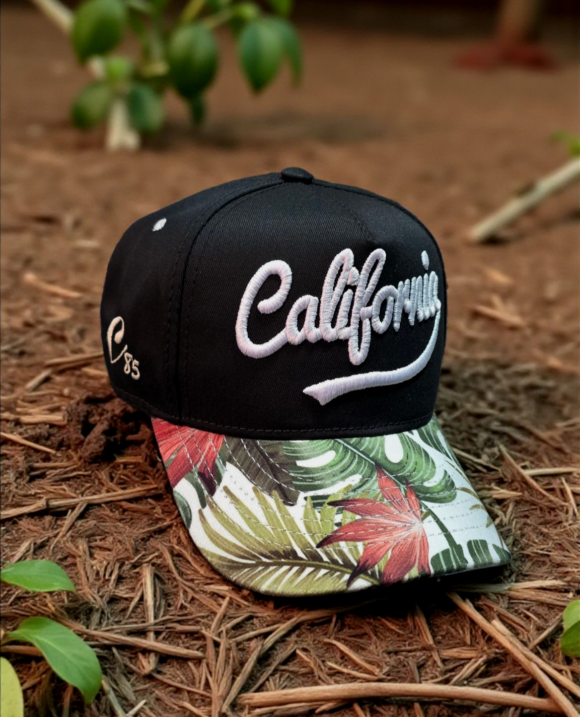 Gorra California