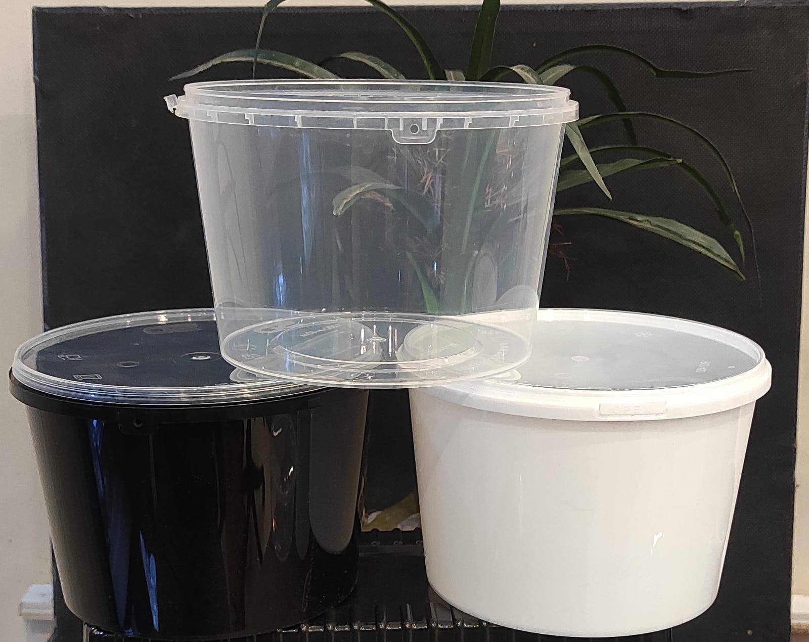 Temper Proof  Plastic Food Containers