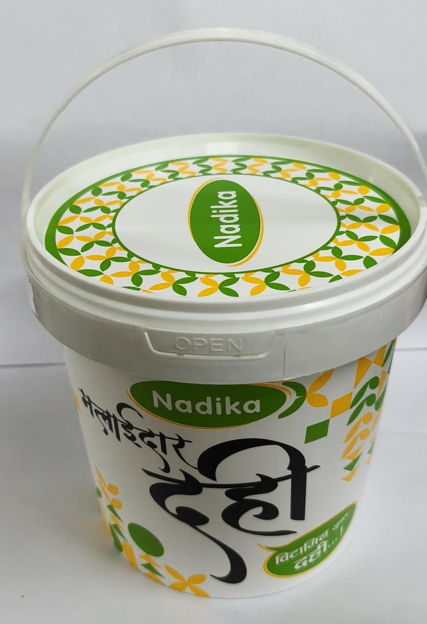 Nadika Dahi (Curd) Tub