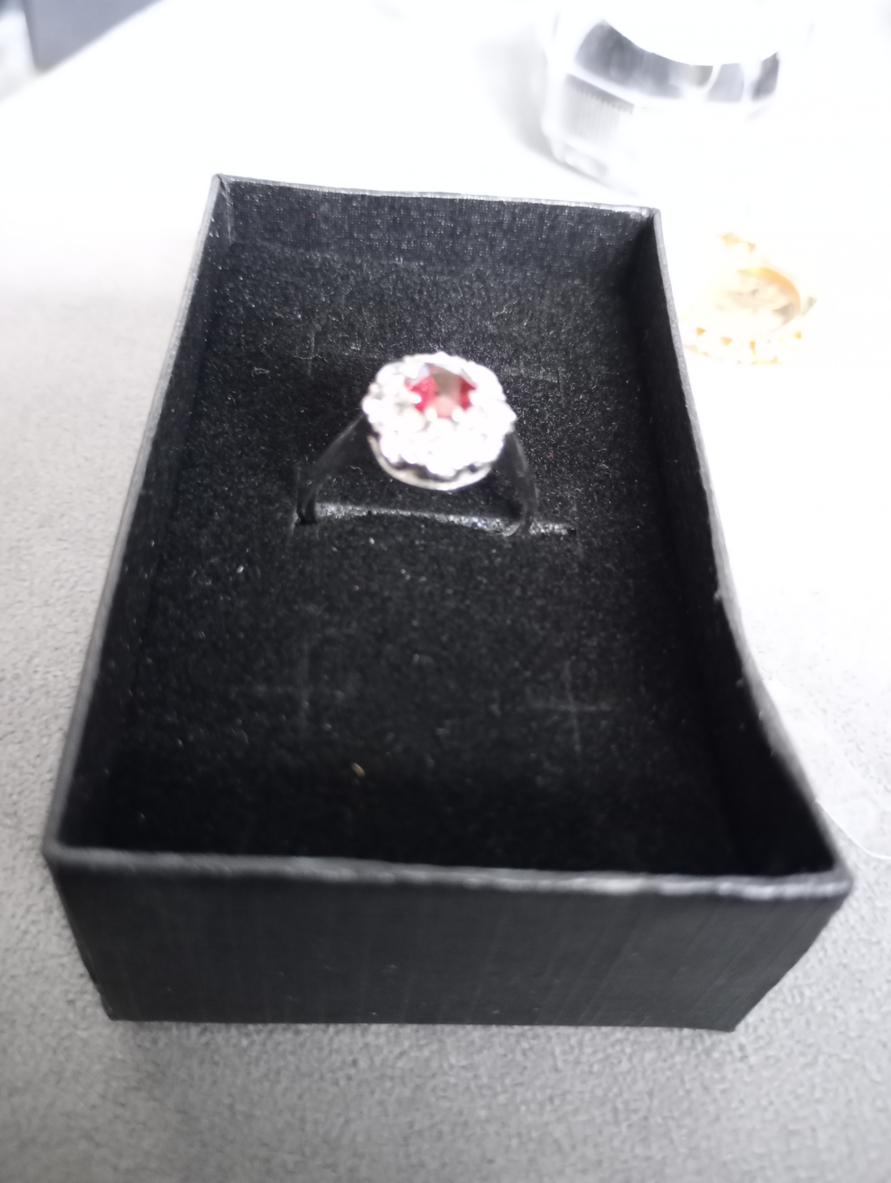 9ct White Gold Elegant Ruby and Diamond Ring