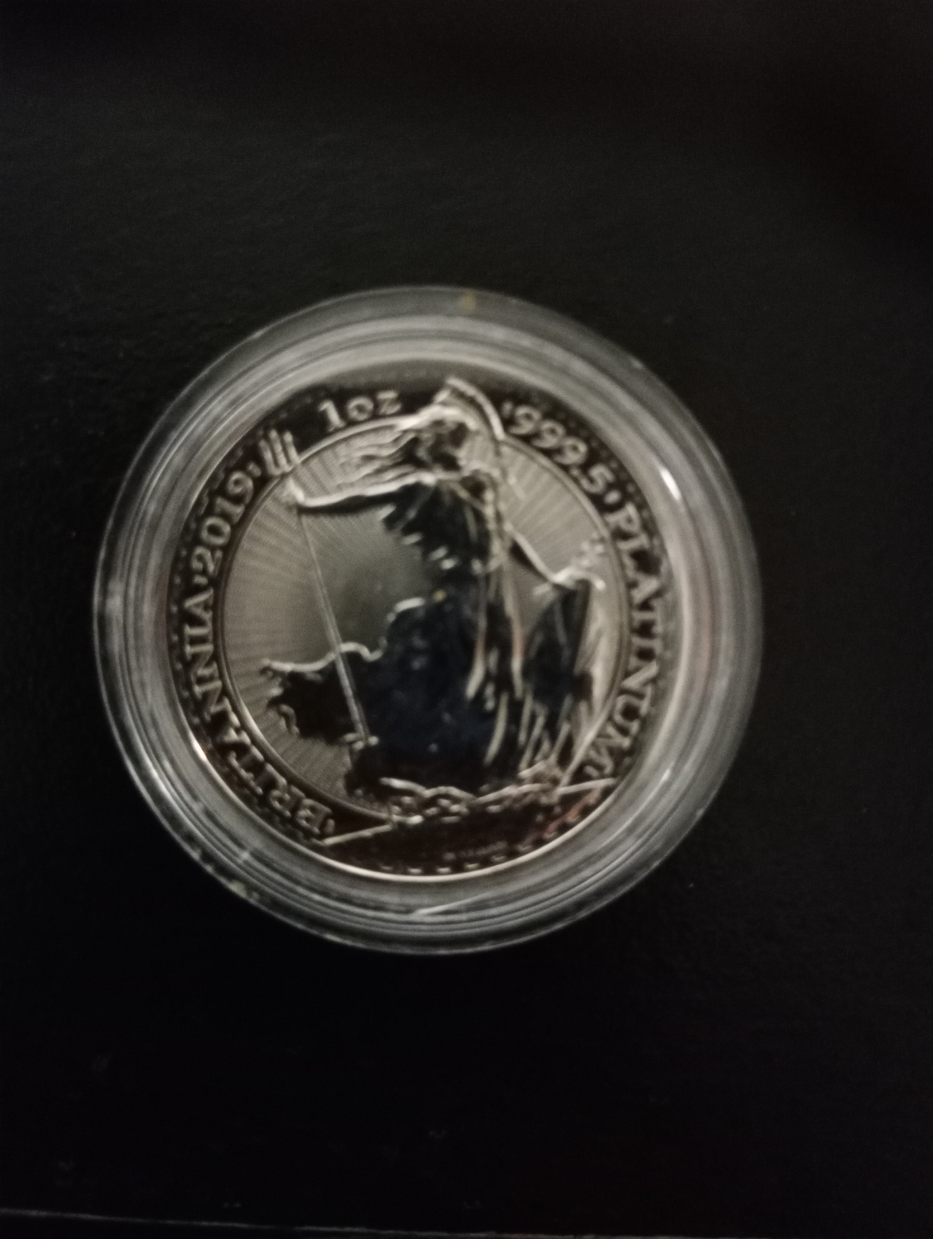 2019 Britannia 1oz Platinum Coin