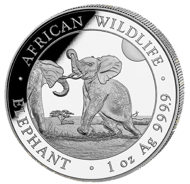 2024 African Wildlife Elephant 1 oz Silver Coin