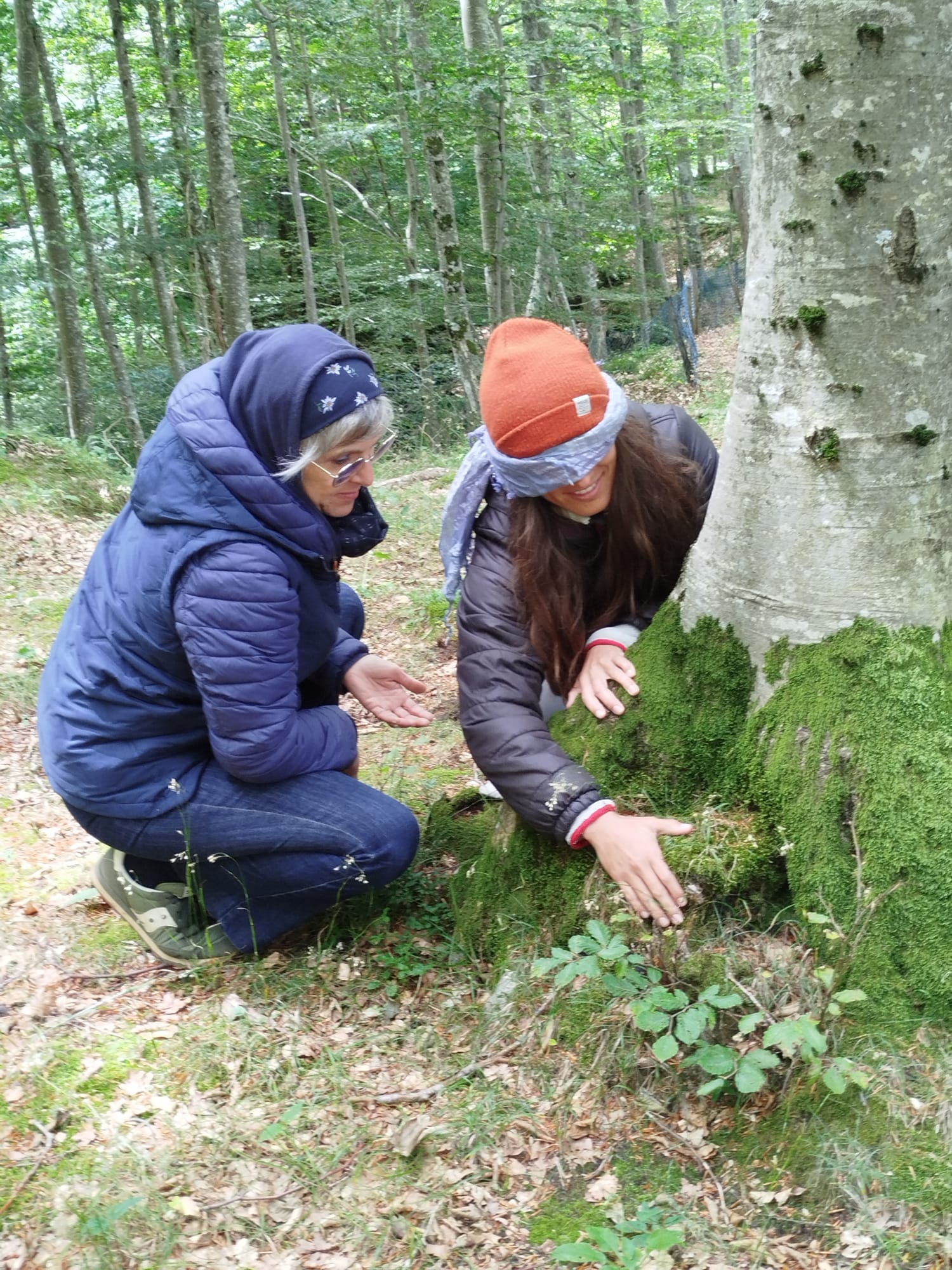 VOUCHER – AINA Forest