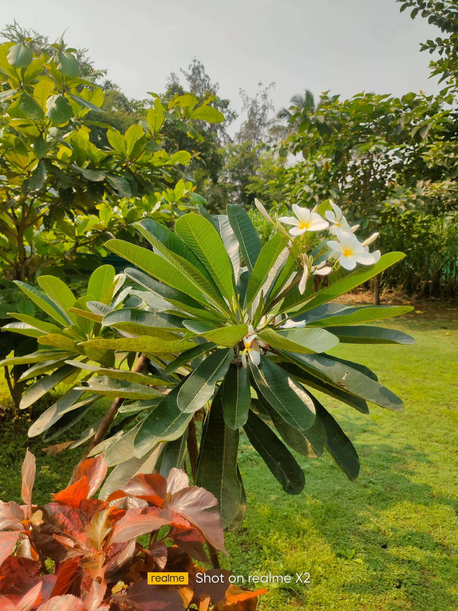 Vishnu Baug Environmental Theme (Badlapur)