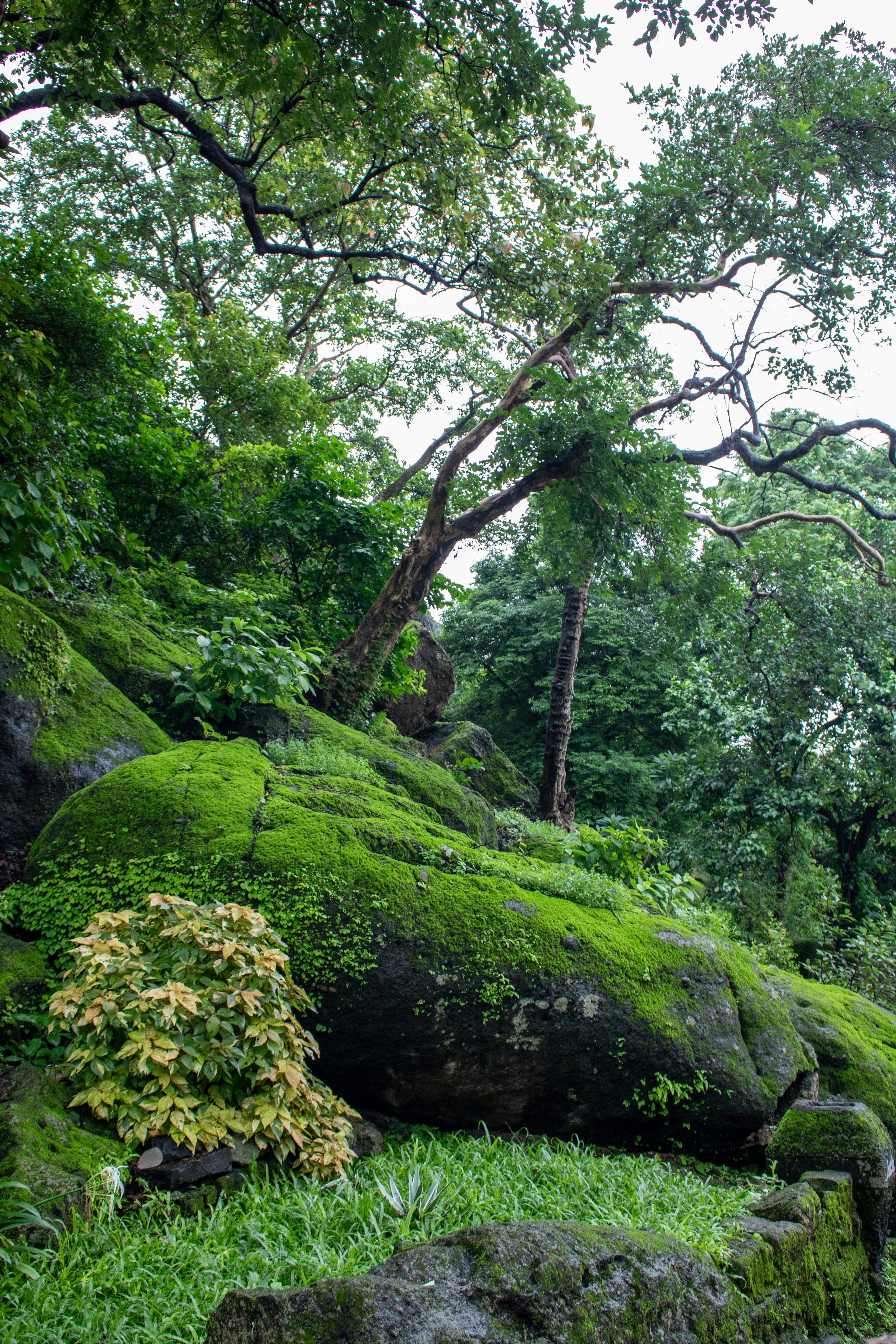 Borivali National Park + Kanheri Caves + Pagoda (Vipassana Center) 