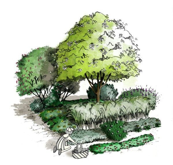 Protège-oreilles CONCEPT 24F STIHL