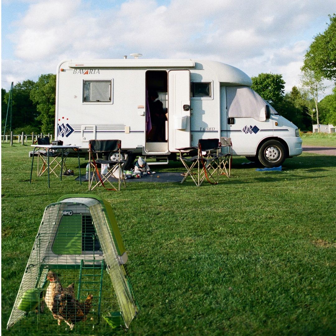Filet à poules OMLET 