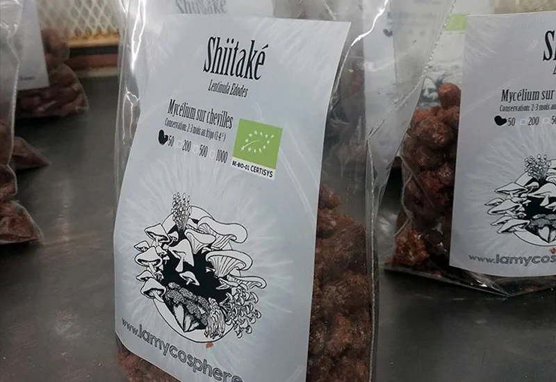 Culture sur Buche Shiitaké - Mycélium sur chevilles de bois BIO LAMYCOSPHÈRE