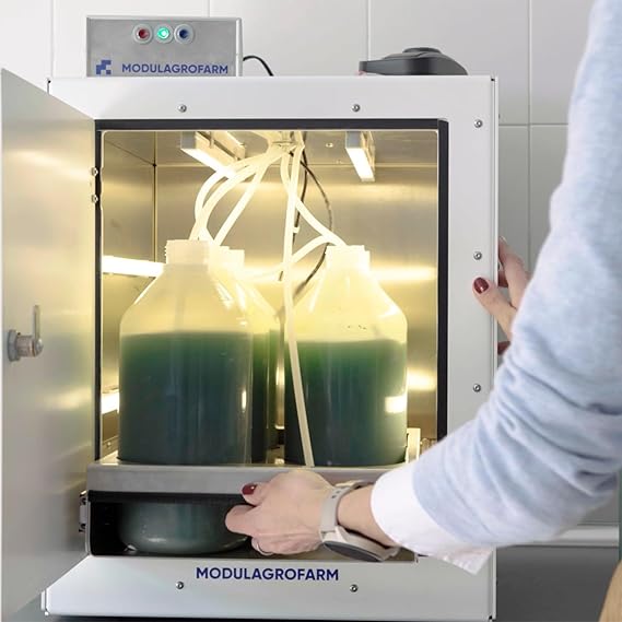 Kit de culture de spiruline 12 Litres MODULAGROFARM