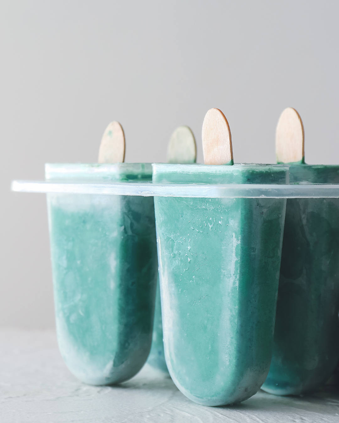 Kit de Culture Spiruline Pro 200 litres MODULAGROFARM