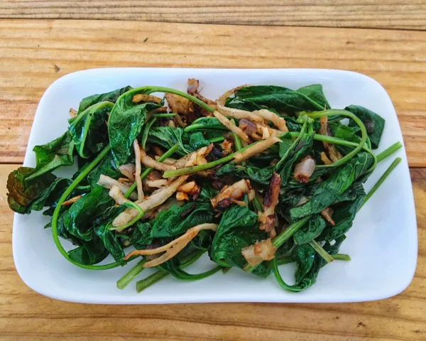 Chénopode Bon-Henri