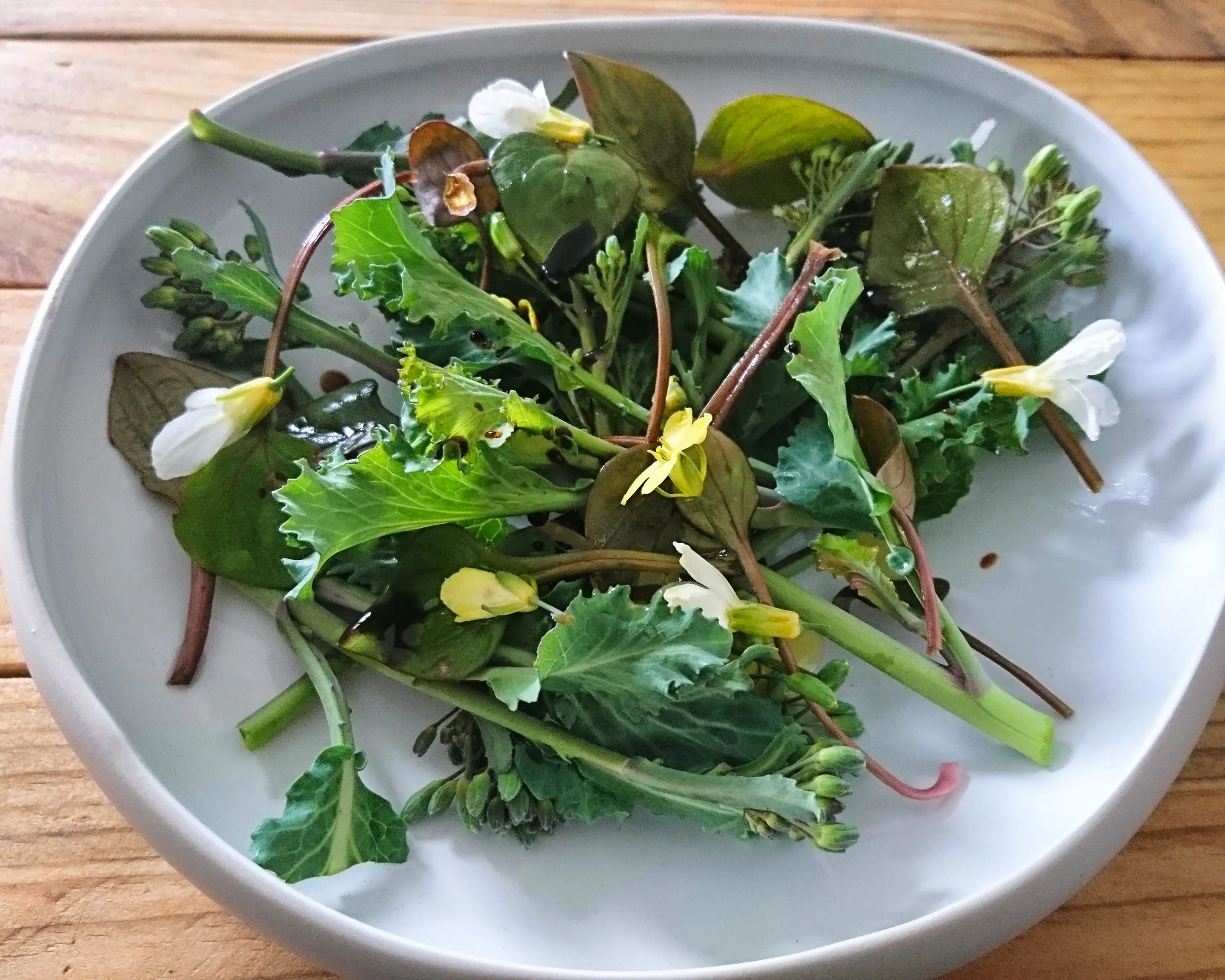 Chou “Purple tree collard”