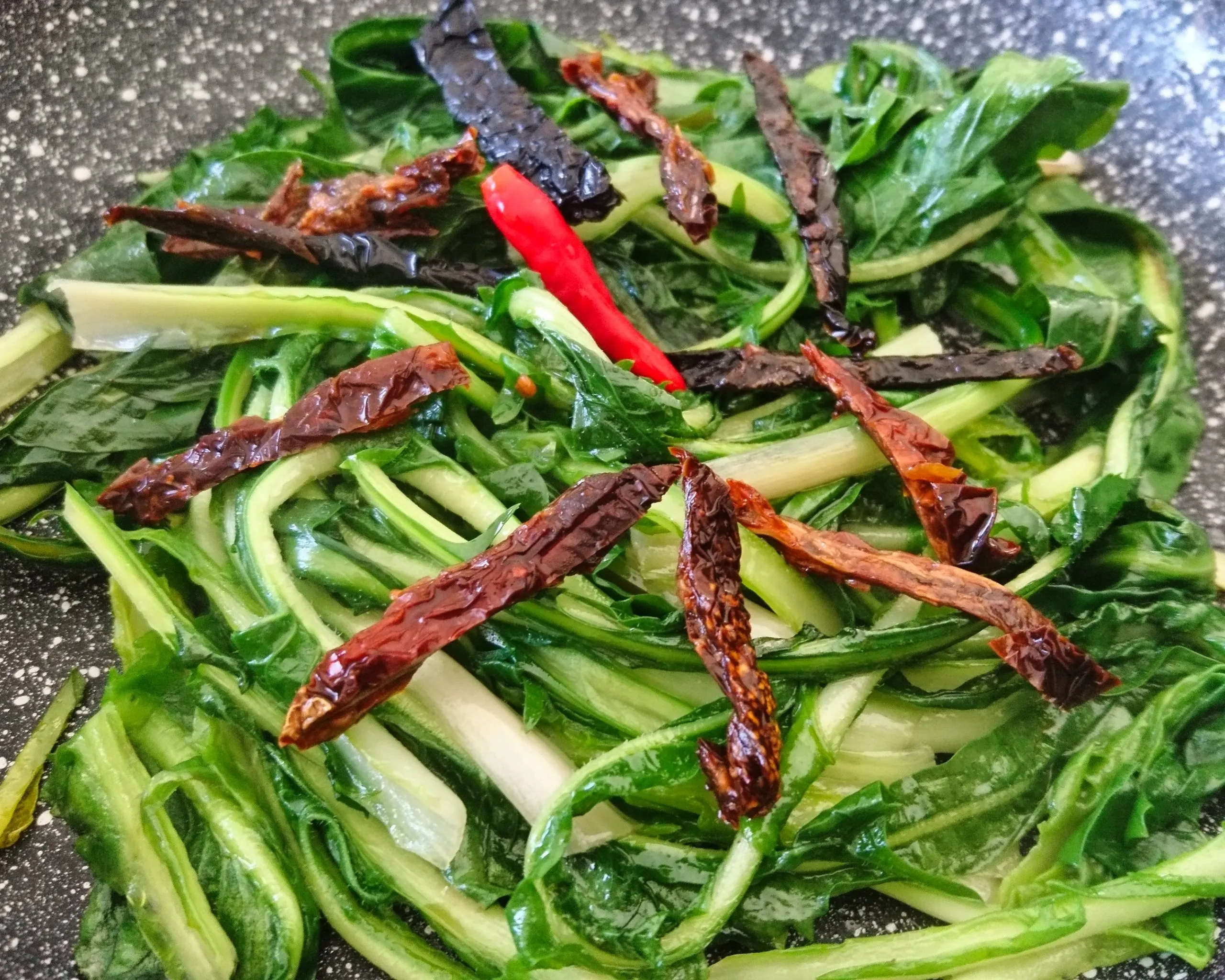 Chicorée ‘Spadona’