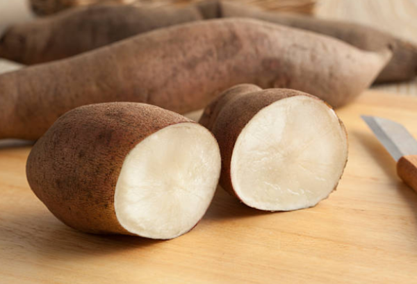 Yacon – Poire de terre