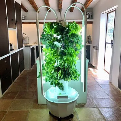 Tour aéroponique TOWER GARDEN