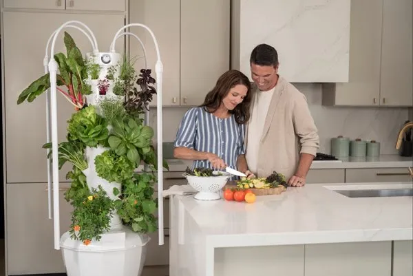 Tour aéroponique TOWER GARDEN