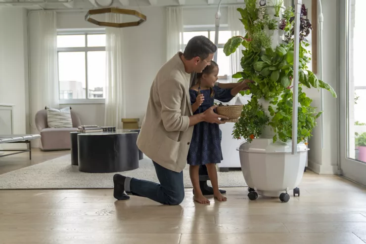 Mélange de minéraux culture hydro/ aqua/ aéroponique TOWER GARDEN By Agrotonomy