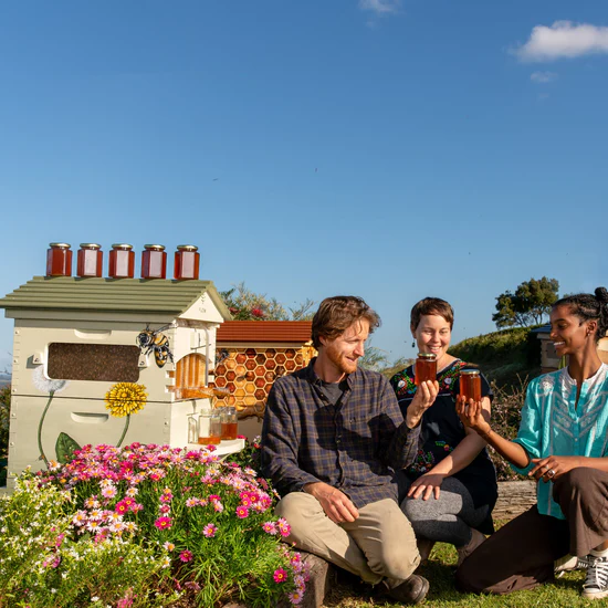 Ruche Flow classique FLOW HIVE