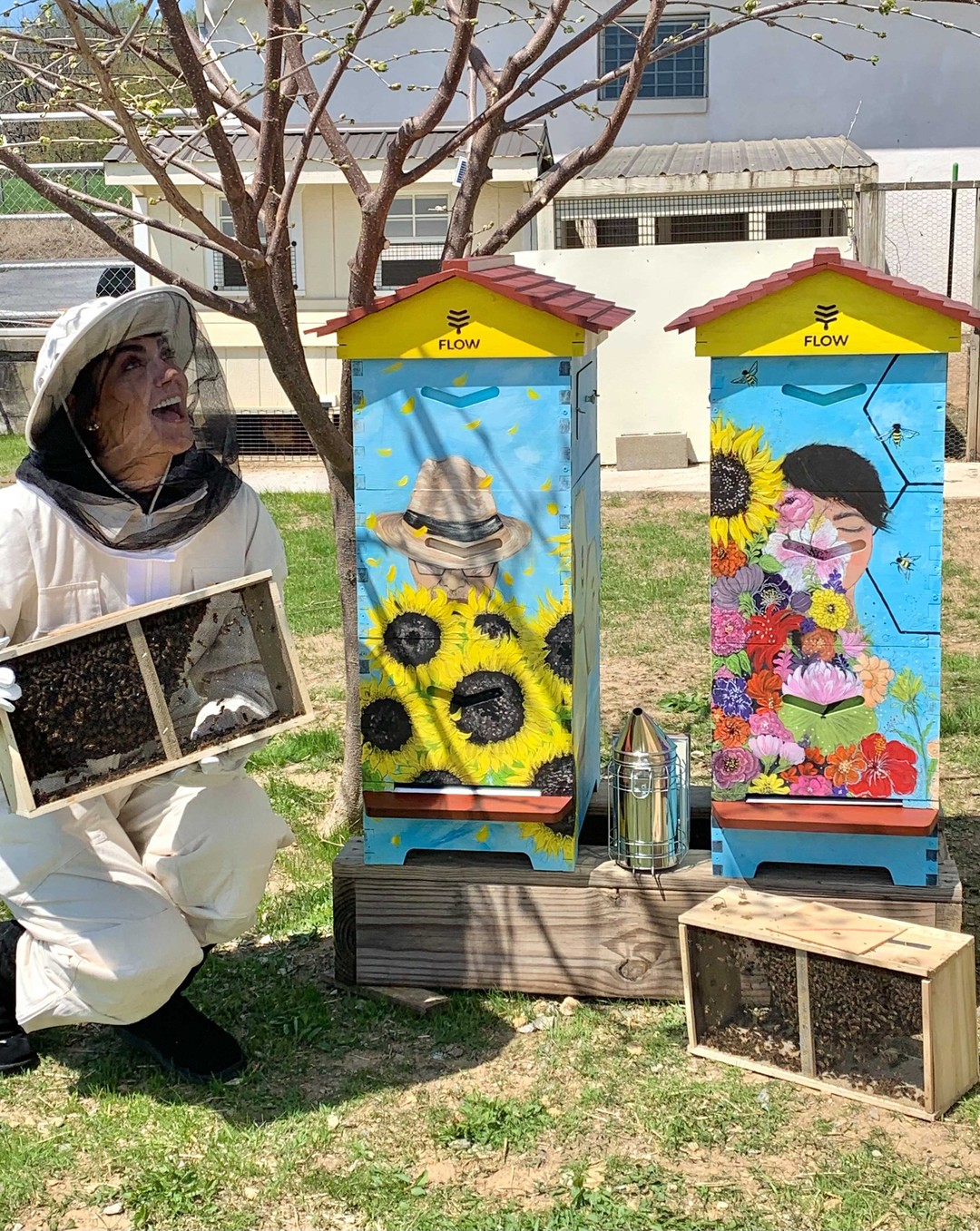 Ruche Flow 2 FLOW HIVE 