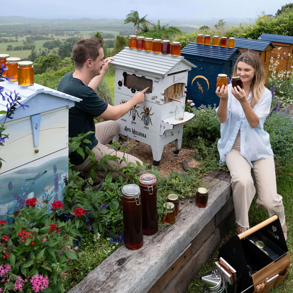 Ruche Flow 2 FLOW HIVE 