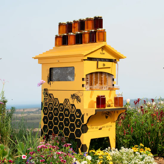 Ruche Flow 2 FLOW HIVE 