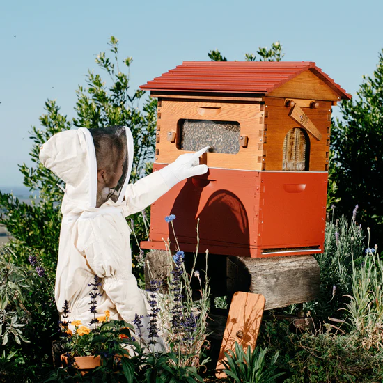 Combinaison Flow Bee Enfant FLOW HIVE