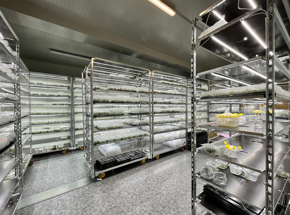 Chariot de culture amovible avec kit d'éclairage LED et bacs à eau Germination Greffage Bouture  ORLANDELLI