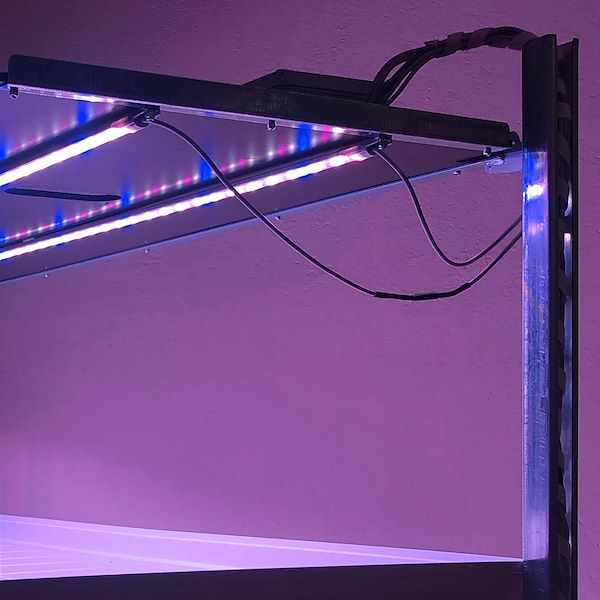 Chariot de culture amovible avec kit d'éclairage LED pour la micro-pousses OLANDELLI