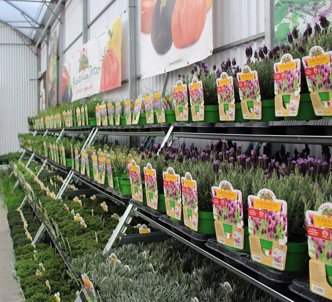 Chariot Cabriolet amovible de culture  ORLANDELLI