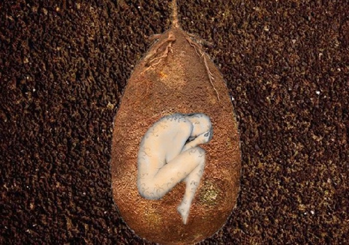 CONCEPT Capsule funéraire biodégradable CAPSULA MUNDI