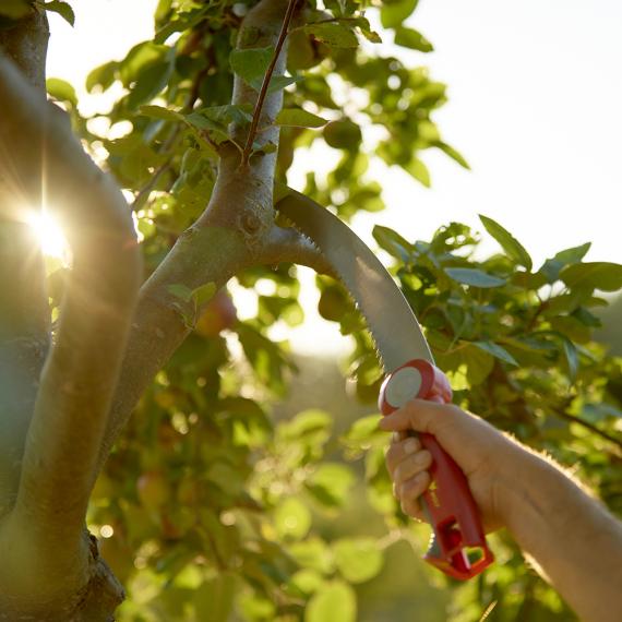 Scie d'élagage avec manche MULTI-STAR - OZM3 OUTILS WOLF