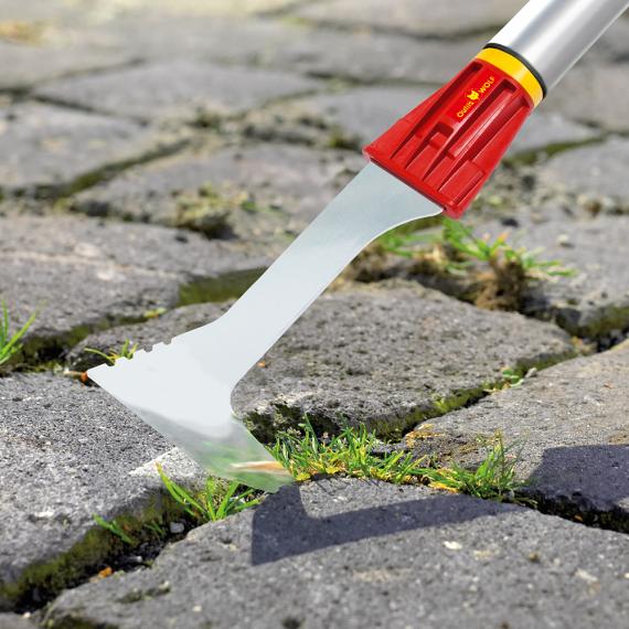 Grattoir Multi-Star - FKM OUTILS WOLF