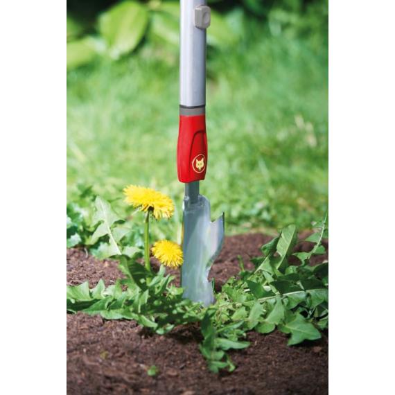 Echardonnoir MULTI-STAR - IWM