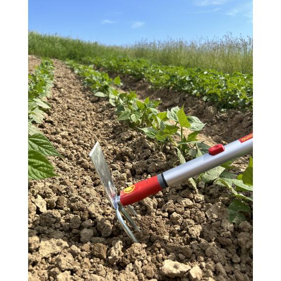 Petite serfouette 3 dents 1 panne Multi-Star - LNM OUTILS WOLF