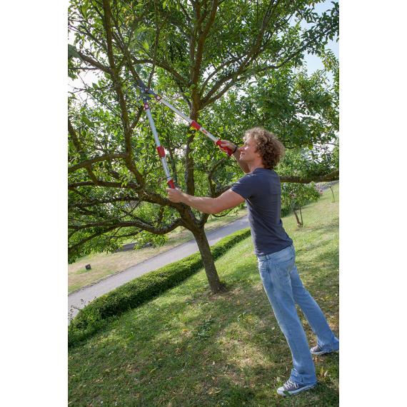 Élagueur télescopique Premium à coupe mixte POWERCUT - OR900T OUTILS WOLF