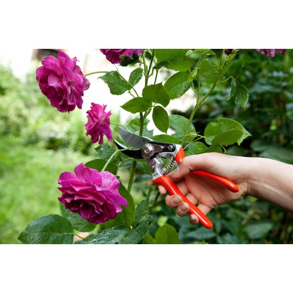 Sécateur Premium à coupe franche - Poignées aluminium - OGAN OUTILS WOLF