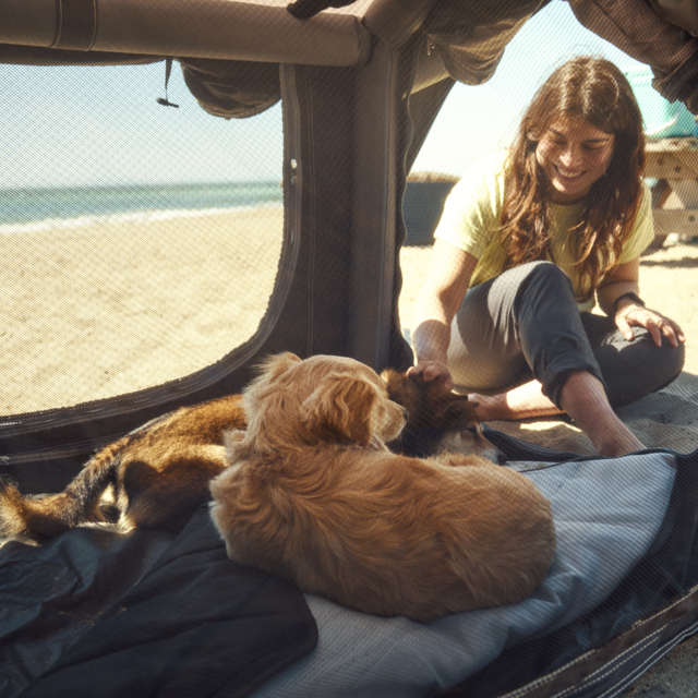 Niche gonflable pour chiens K9 80 AIR  DOMETIC