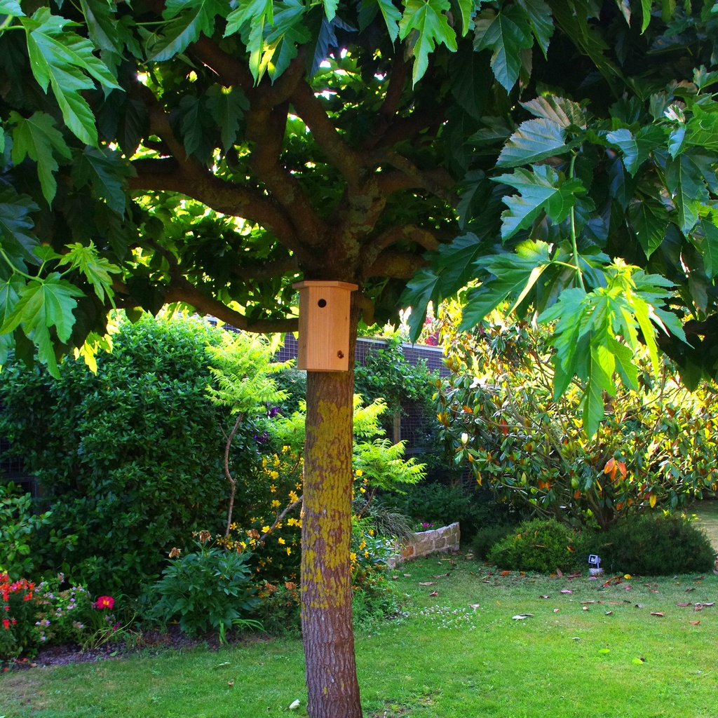 Avibox  Nichoir à mésanges bleues & Cie SYMBIOSPHÈRE 