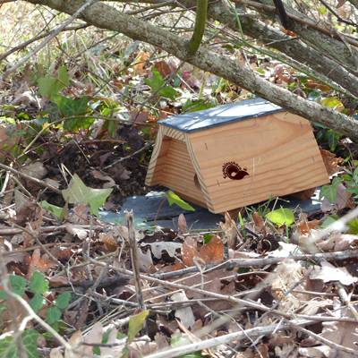 BeletteBox - Refuge à belette SYMBIOSPHÈRE 