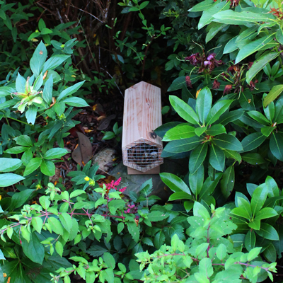 Carabox - Nichoir à carabes & Cie SYMBIOSPHÈRE