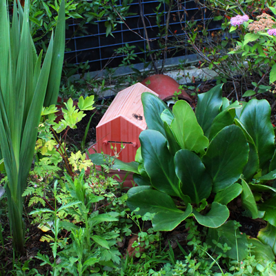 Chrysolodge - Nichoir à chrysopes & Cie SYMBIOSPHÈRE