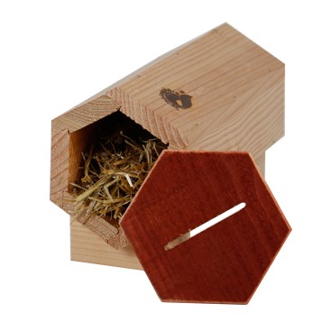 Chrysolodge - Nichoir à chrysopes & Cie SYMBIOSPHÈRE