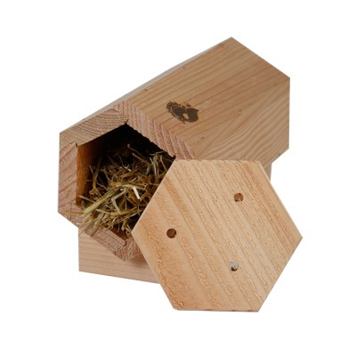 Coccilodge - Nichoir à coccinelles & Cie SYMBIOSPHÈRE