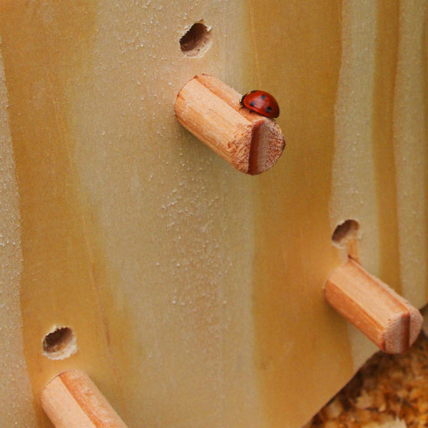 Coccilodge - Nichoir à coccinelles & Cie SYMBIOSPHÈRE