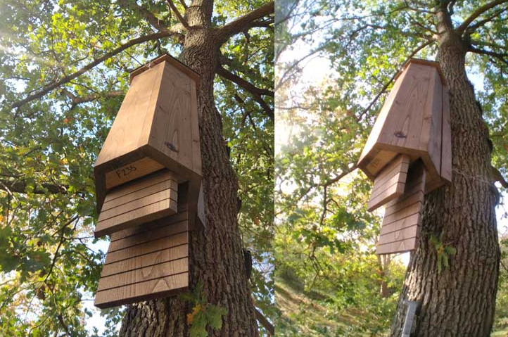 Hibernachiro - Refuge pour chauves-souris SYMBIOSPHÈRE 