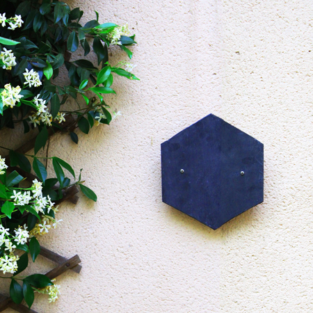 Lezardbox - Nichoir à lézards des murailles & Cie SYMBIOSPHÈRE