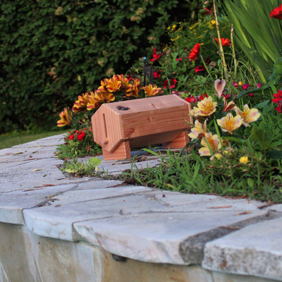 Lépidobox - Nichoir à papillons & Cie SYMBIOSPHÈRE