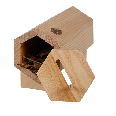 Lépidobox - Nichoir à papillons & Cie SYMBIOSPHÈRE