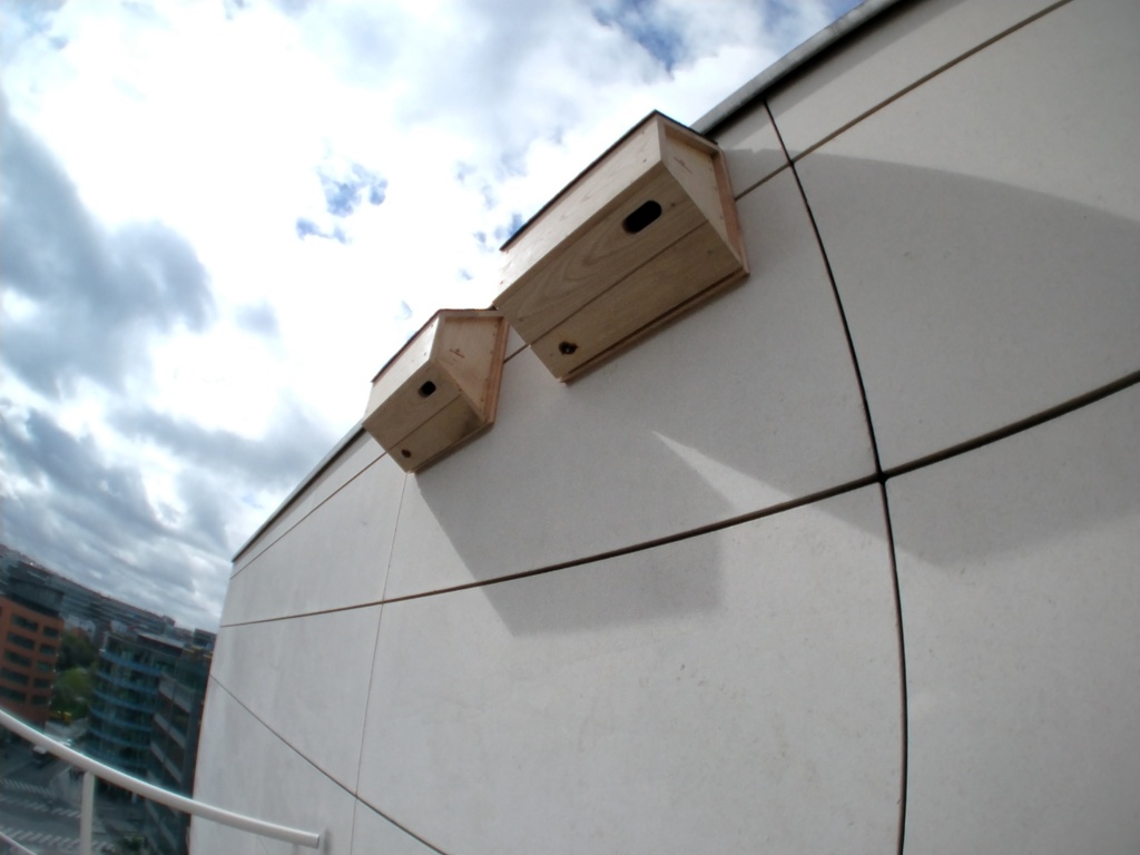 Martibox - Nichoir à martinet noir SYMBIOSPHÈRE