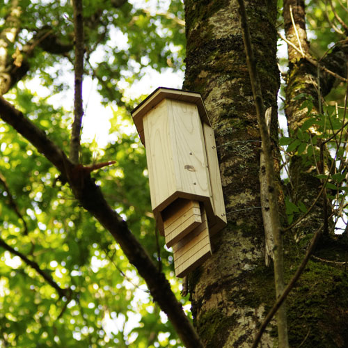 MaxiBatcave - Refuge à chauves-souris SYMBIOSPHÈRE